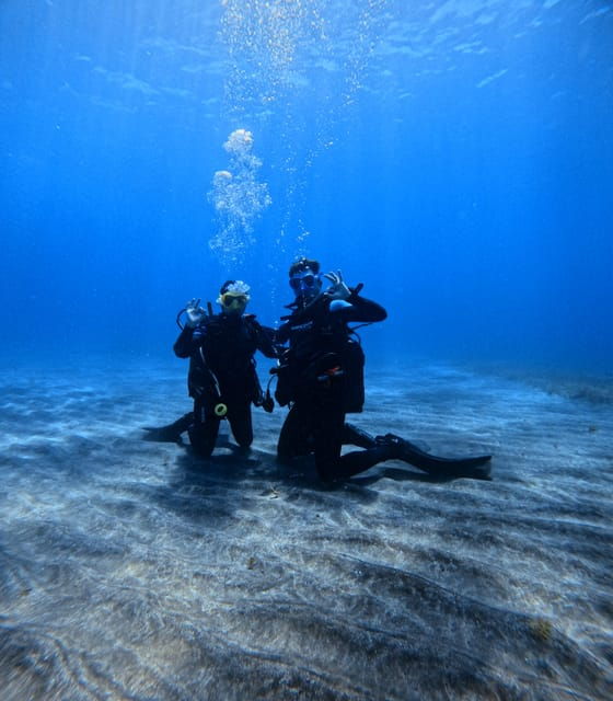 Tenerife: Private Scuba Diving Experience for Every Level - Meeting Point