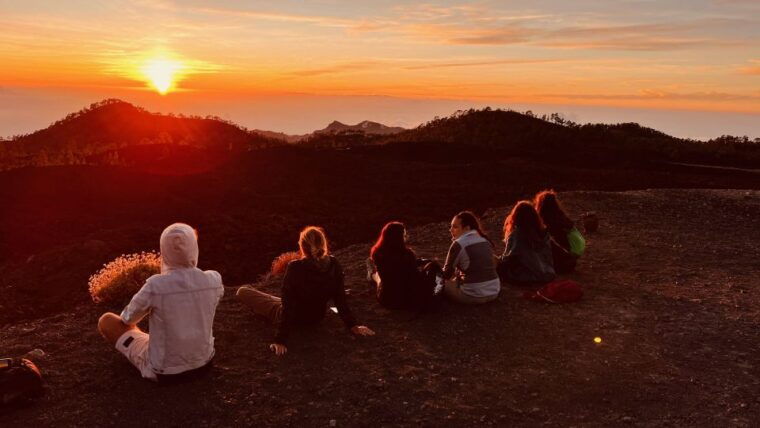 Tenerife: Private VIP Tour Teide National Park - Itinerary and Locations