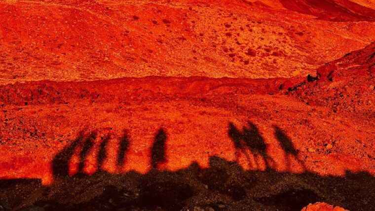 Tenerife: Private VIP Tour Teide National Park - Customer Reviews
