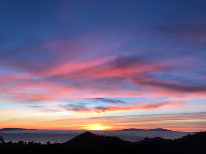Tenerife: Private VIP Tour Teide National Park - Experiencing the Canary Islands Natural Beauty