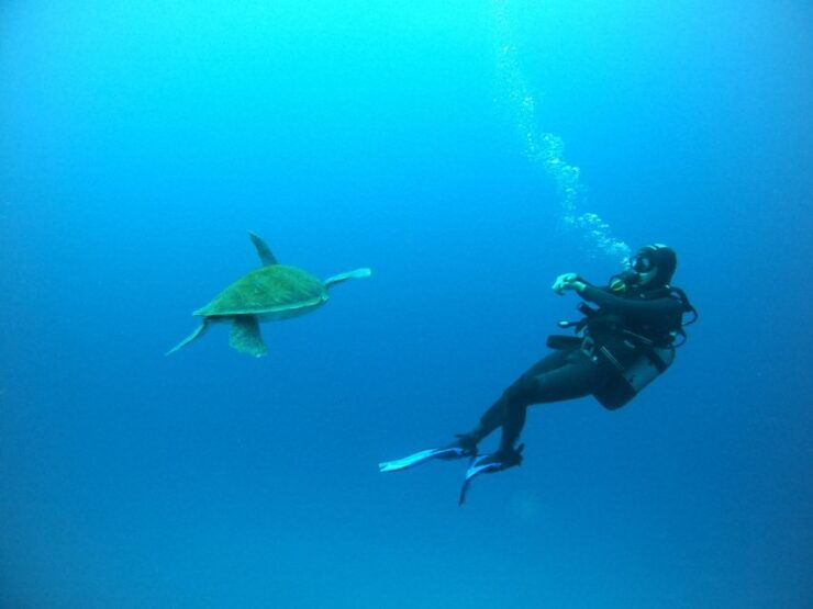 Tenerife: Puerto Colon Certified Scuba Dive by Speed Boat - Activity Details