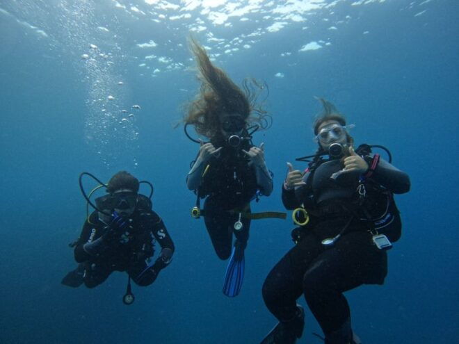 Tenerife: Puerto Colon Certified Scuba Dive by Speed Boat - Inclusions