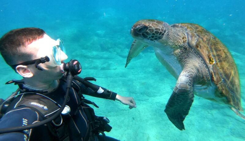 Tenerife: Puerto Colon Discover Scuba Diving Trip - Certification and Requirements