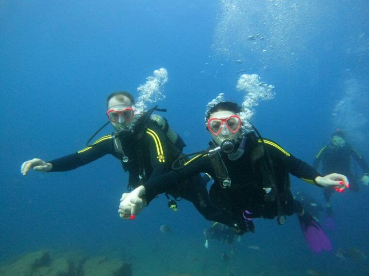 Tenerife: Puerto Colon Discover Scuba Diving Trip - Participant Experience and Reviews