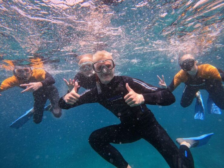 Tenerife: Puerto Colon Snorkel Safari by Speed Boat - Activity Details