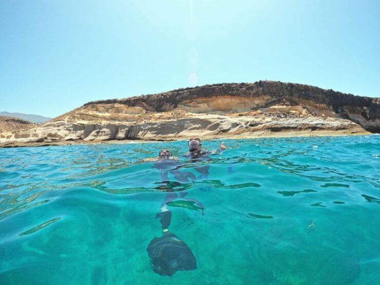 Tenerife: Puerto Colon Snorkel Safari by Speed Boat - Activity Highlights