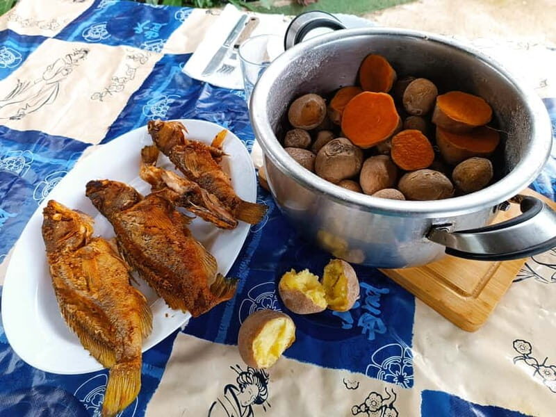 Tenerife-Puerto Cruz: Avatar Hiking, Bajamar and Cocktail - Transport, Timing, and Practicalities