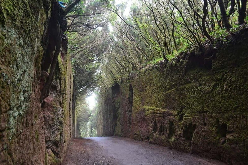 Tenerife-Puerto Cruz: Avatar Hiking, Bajamar and Cocktail - FAQs