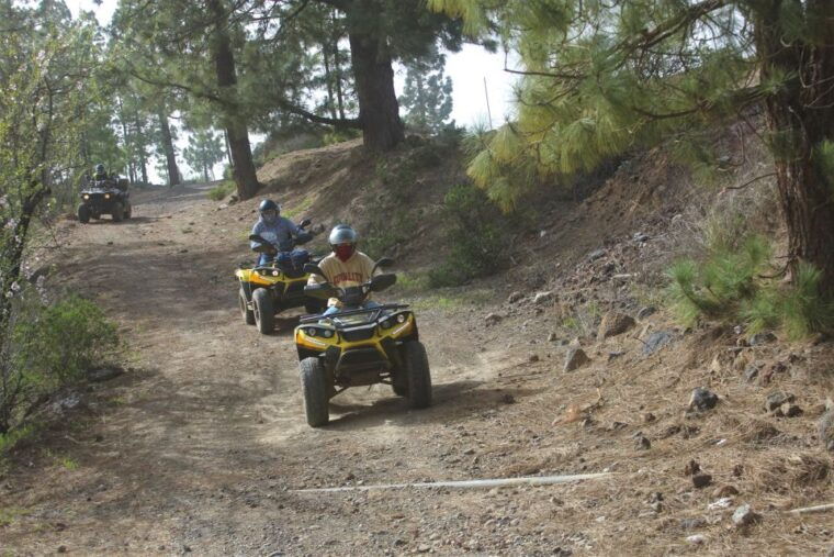 Tenerife: Quad Bike Off-Road Adventure - What to Expect