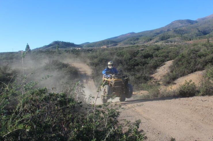Tenerife: Quad Bike Off-Road Adventure - Activity Details