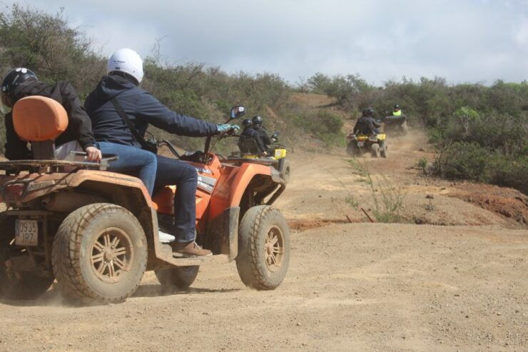 Tenerife: Quad Bike Off-Road Adventure - Experience