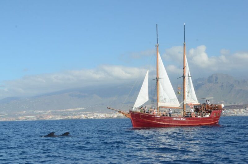 Tenerife: Respectful Whale Watching Pirate Cruise + Swim - The Vessel & Atmosphere