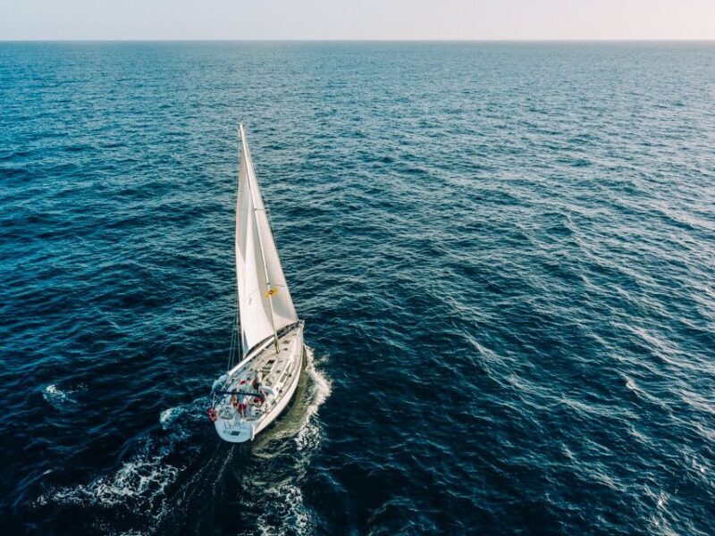 Tenerife: Sailboat Tour Whale Watching Food and Snorkeling - Good To Know