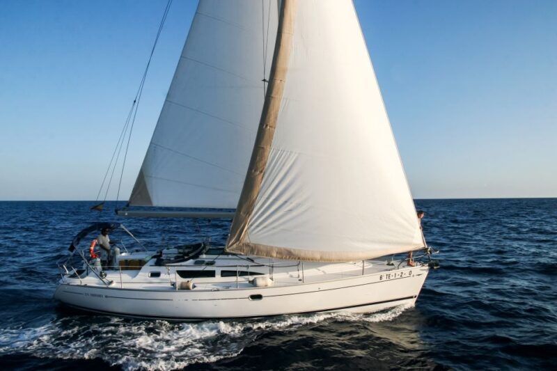 Tenerife: Sailboat Tour Whale Watching Food and Snorkeling - An Authentic Tenerife Marine Experience
