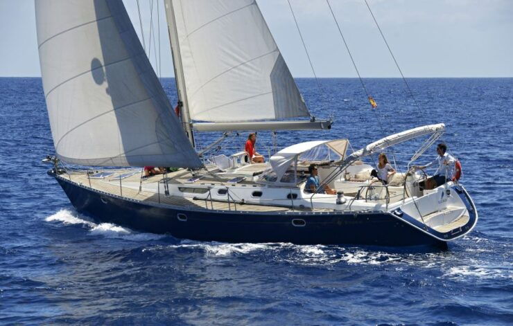 Tenerife: Sailing Excursion With Whale and Dolphin Watching - Booking Details