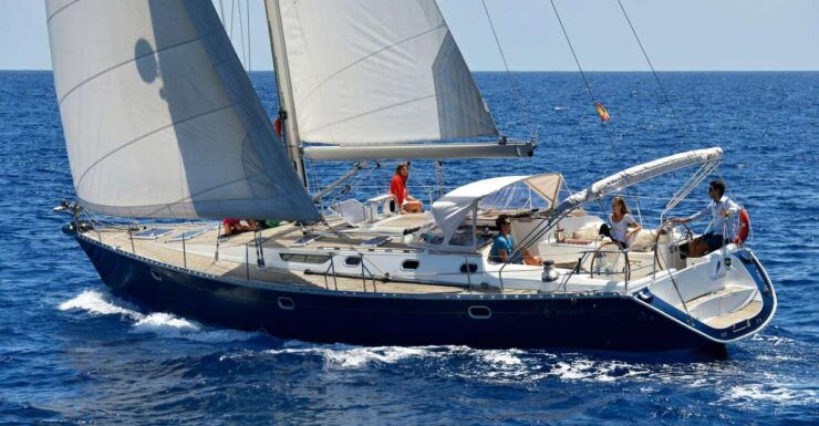 Tenerife: Sailing Excursion With Whale and Dolphin Watching - Experience Highlights