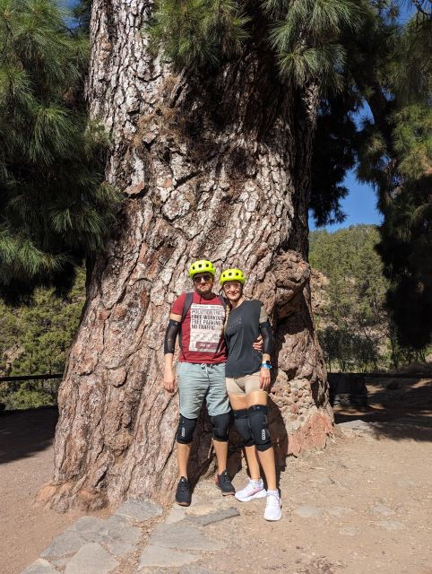Tenerife: Scenic Biking Tour With Wine and Cheese Tasting - Activity Details
