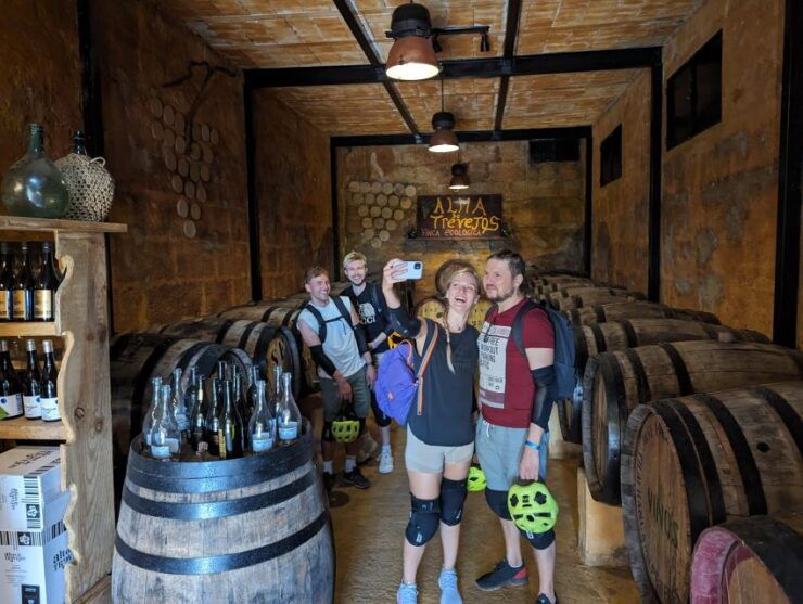 Tenerife: Scenic Biking Tour With Wine and Cheese Tasting - Experience Highlights