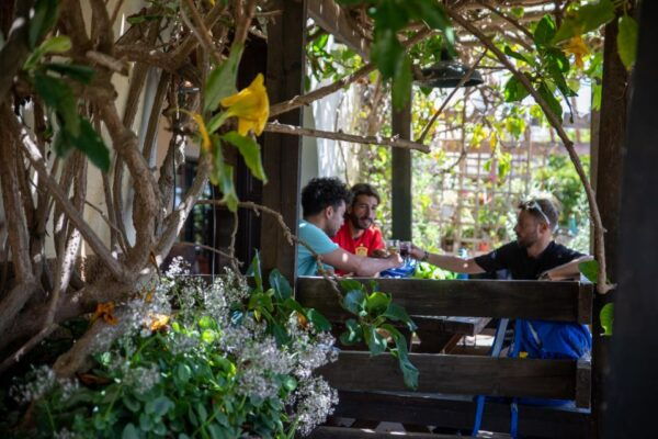 Tenerife: Scenic Biking Tour With Wine and Cheese Tasting - Common Questions