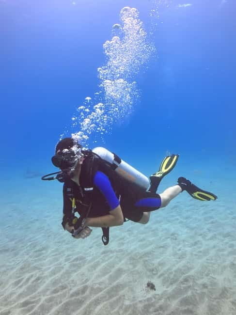 Tenerife: Scuba Dive & Fun, Discover the Magic of the Ocean - Frequently Asked Questions