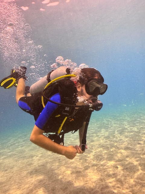 Tenerife: Scuba Dive & Fun, Discover the Magic of the Ocean - High-Quality Diving Equipment Provided