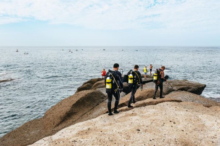Tenerife: Scuba Diving Experience With Instructor and Gear - Experience Details