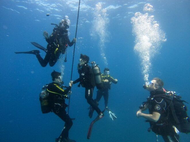 Tenerife: Scuba Diving for Certified Divers in Puerto Colon - Group Size and Highlights