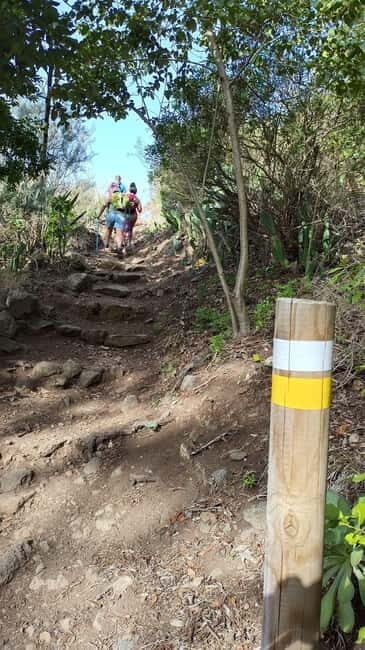 Tenerife: Senderismo Anaga, Bosque Mágico, Reserva Biosfera - Additional Adventures and Flexibility