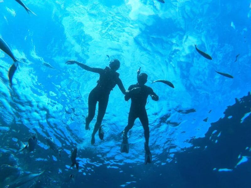 Tenerife: Snorkeling and Kayaking With Marine Life in Palm Mar - Good To Know