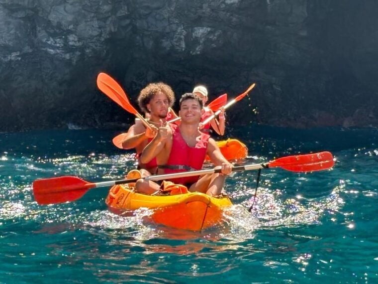 Tenerife: Snorkeling and Kayaking With Marine Life in Palm Mar - Spotting Marine Wildlife: Dolphins and Turtles