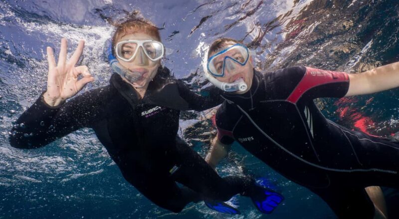 Tenerife: Snorkeling to look for Turtles and Rays - Good To Know