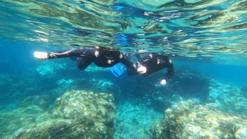 Tenerife: Snorkeling Tour in a Marine Protected Area - Good To Know