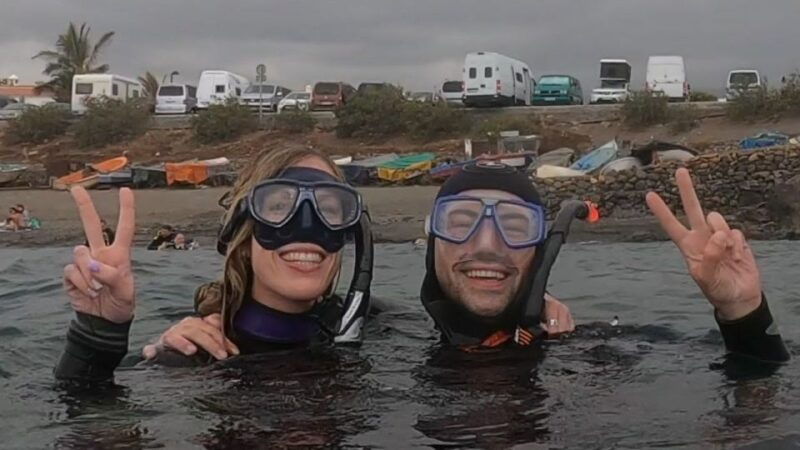 Tenerife: Snorkeling Tour in a Marine Protected Area - Experience Highlights