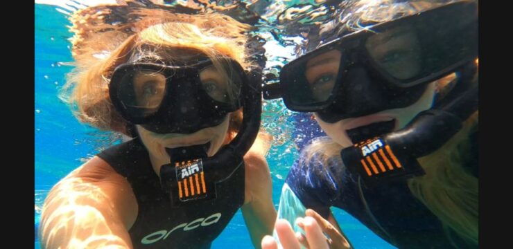 Tenerife: Snorkeling Tour in a Marine Protected Area - Experience