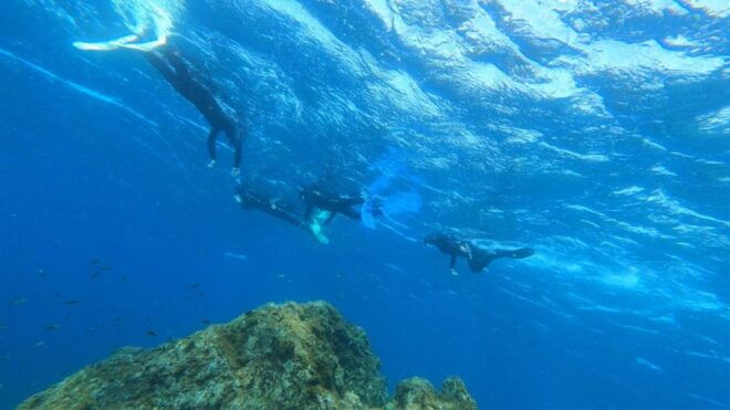 Tenerife: Snorkeling Tour in a Marine Protected Area - Customer Reviews