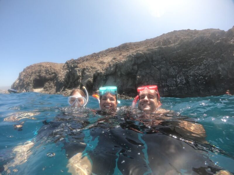 Tenerife: Snorkeling Trip in a Turtle Habitat - FAQs
