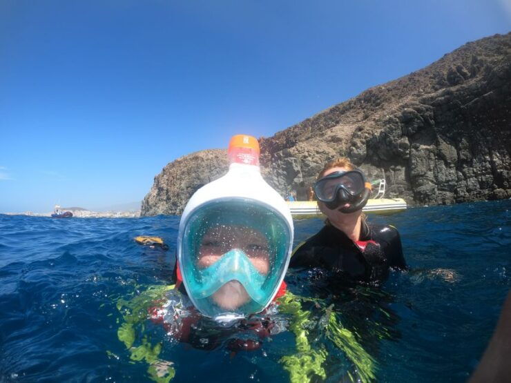 Tenerife: Snorkeling Trip in a Turtle Habitat - Experience
