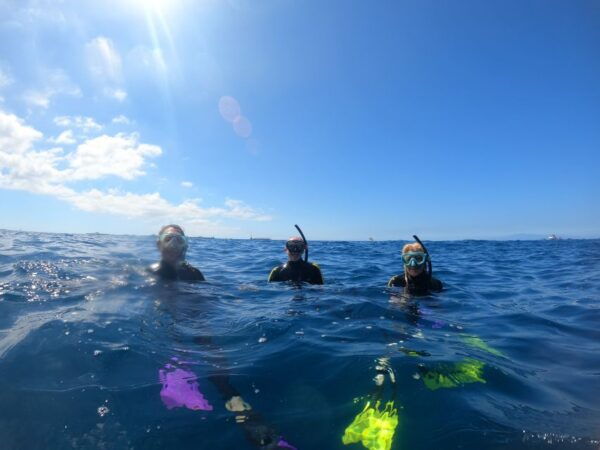 Tenerife: Snorkeling Trip in a Turtle Habitat - Directions