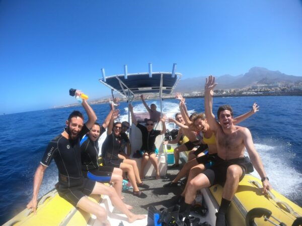 Tenerife: Snorkeling Trip in a Turtle Habitat - Common Questions