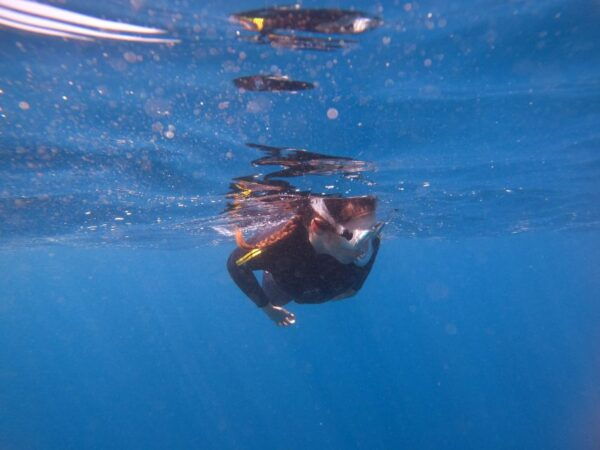 Tenerife: Snorkeling Trip in a Turtle Habitat - The Sum Up