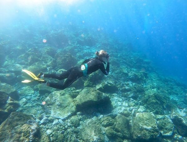 Tenerife : Snorkeling Underwater With Freediving Instructor - Customer Reviews