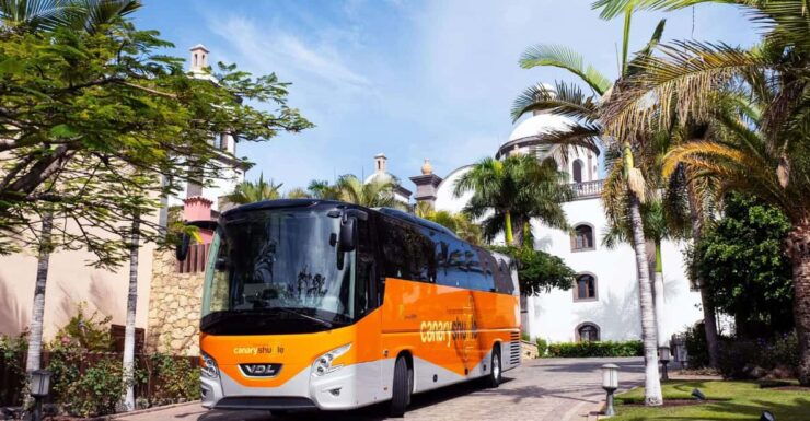 Tenerife South Airport: Bus Transfer to Los Cristianos - Good To Know