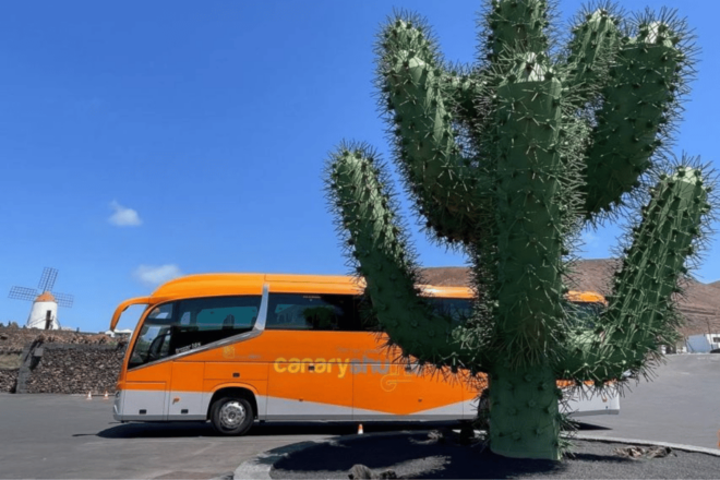 Tenerife South Airport: Bus Transfer to Los Cristianos - Travel Experience