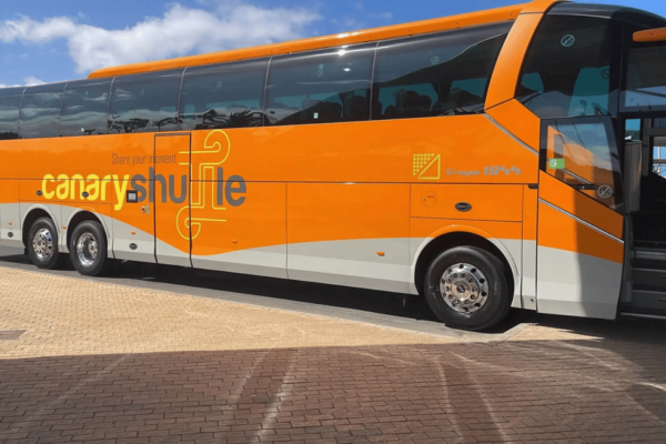 Tenerife South Airport: Bus Transfer to Los Cristianos - Shuttle Amenities