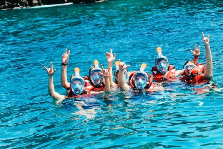 Tenerife: South Coast Jet Ski Experience - Activity Details
