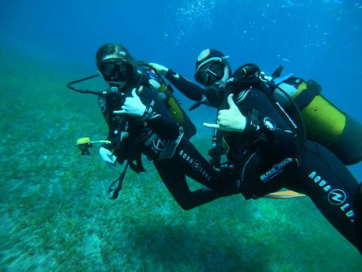 Tenerife South: Diving for Beginners in Adeje - Pricing and Inclusions