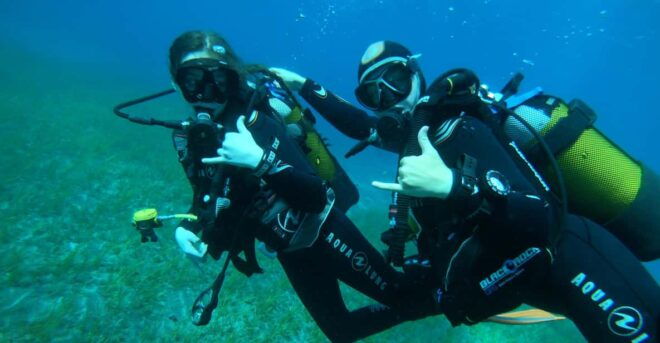 Tenerife South: Diving for Beginners in Adeje - Instructor Expertise