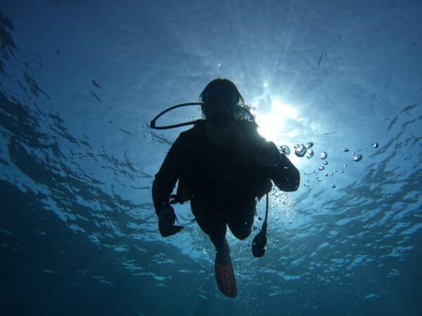 Tenerife South: Diving for Beginners in Adeje - Booking and Reservations