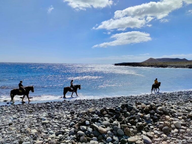 Tenerife South: Private Horseback Riding to the Coast & Brunch - Scenic Coastal Views