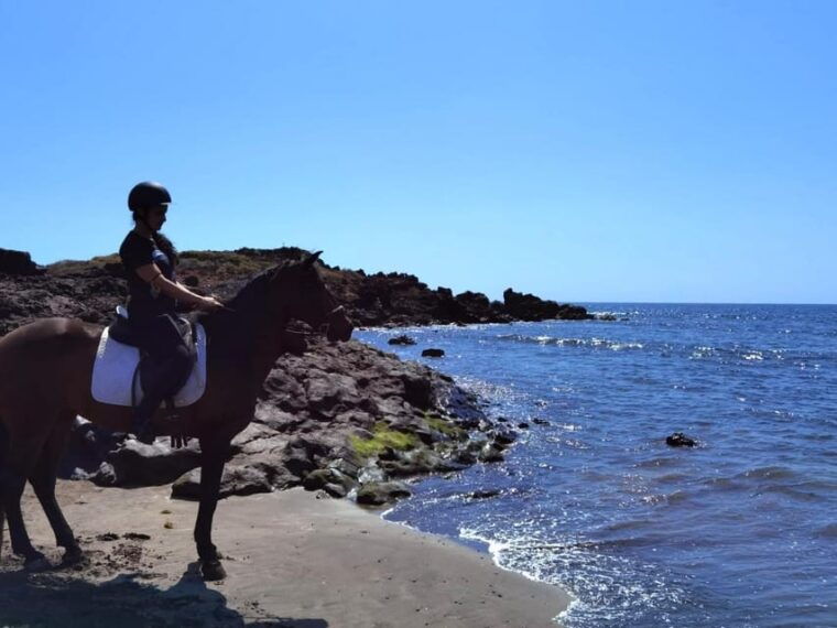 Tenerife South: Private Horseback Riding to the Coast - Inclusions and Exclusions